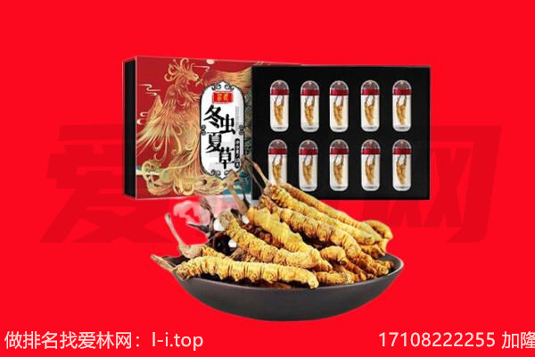 泉州市鲤城回收虫草.jpg